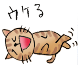 Cat sta sticker #1943784