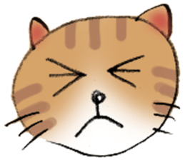 Cat sta sticker #1943794