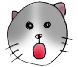 Cat sta sticker #1943796