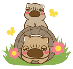 wombat friends sticker #1943883