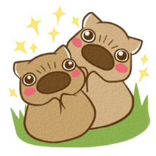 wombat friends sticker #1943895