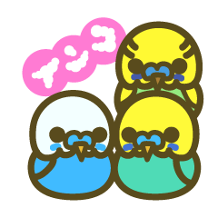 love parakeet