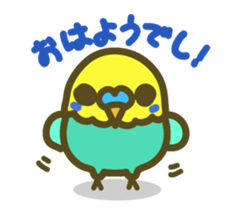 love parakeet sticker #1945117