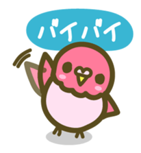 love parakeet sticker #1945125