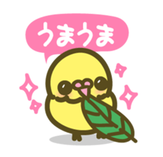 love parakeet sticker #1945132