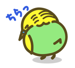 love parakeet sticker #1945136