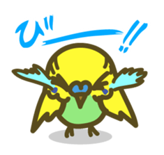 love parakeet sticker #1945138
