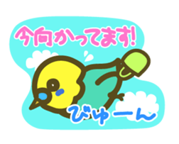 love parakeet sticker #1945146
