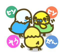 love parakeet sticker #1945148
