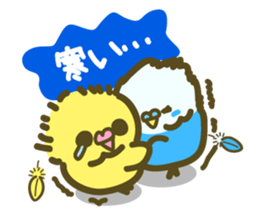 love parakeet sticker #1945151