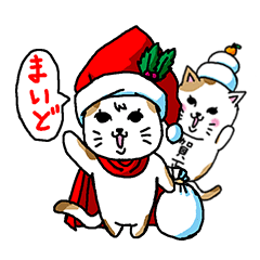 Cat and Christmas and New Year