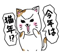 Cat and Christmas and New Year sticker #1945712