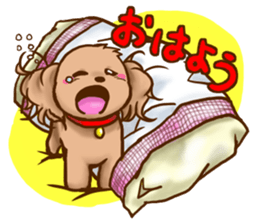 tea cup poodle sticker #1946437