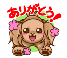 tea cup poodle sticker #1946441