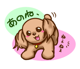 tea cup poodle sticker #1946446