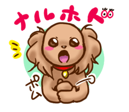 tea cup poodle sticker #1946460