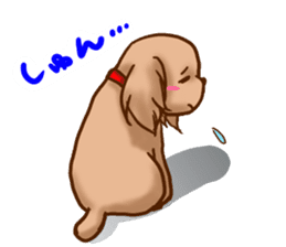 tea cup poodle sticker #1946463