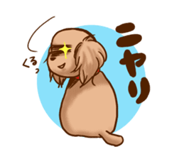 tea cup poodle sticker #1946468