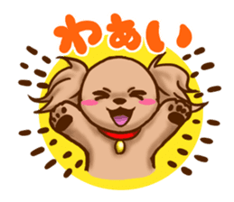 tea cup poodle sticker #1946472