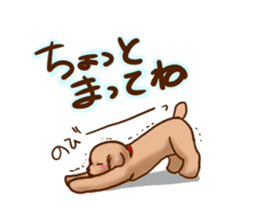 tea cup poodle sticker #1946473