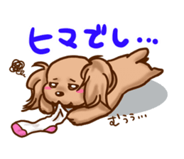 tea cup poodle sticker #1946475