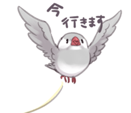 Everyday Buncho sticker #1947168