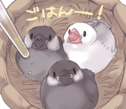 Everyday Buncho sticker #1947190