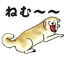 Every day of dogs sticker #1954803