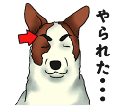 Every day of dogs sticker #1954808