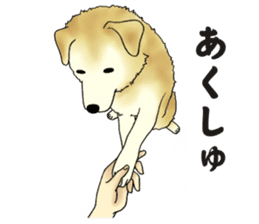 Every day of dogs sticker #1954815
