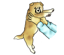 Every day of dogs sticker #1954819