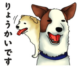Every day of dogs sticker #1954822