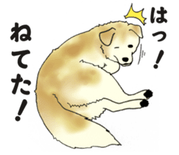 Every day of dogs sticker #1954823