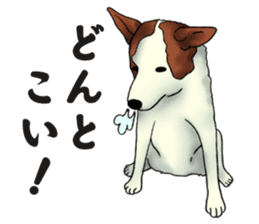 Every day of dogs sticker #1954826