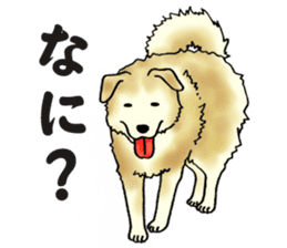 Every day of dogs sticker #1954835