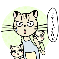 The mom cat.
