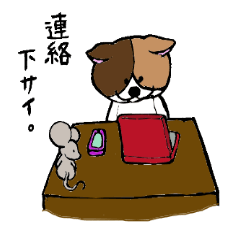 Good-natured cat Work section