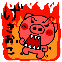 pig heart 9