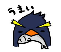 Rock hopper Penguin! sticker #1963985