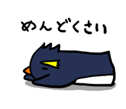 Rock hopper Penguin! sticker #1963990