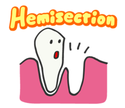 Mr.Molar sticker #1964584