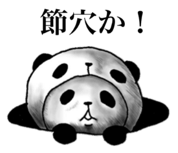 panda in panda 3 sticker #1964899