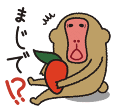Mango monkey sticker #1965284