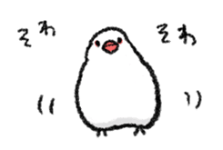 Java sparrow 's Sticker sticker #1965598