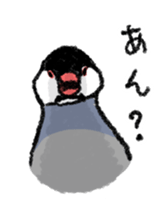 Java sparrow 's Sticker sticker #1965602