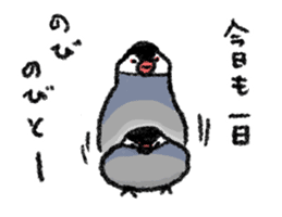 Java sparrow 's Sticker sticker #1965614