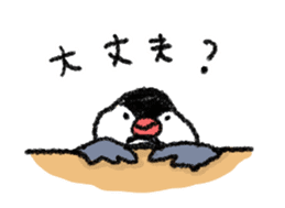 Java sparrow 's Sticker sticker #1965624