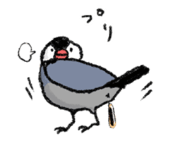 Java sparrow 's Sticker sticker #1965629