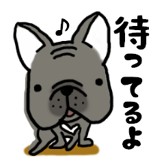 Frenchbulldog of ROSSI