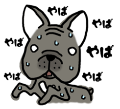 Frenchbulldog of ROSSI sticker #1967729